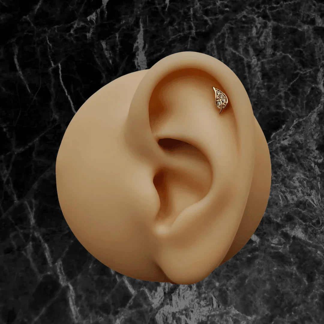 Piercing labret con design fogliolina - GIOYAL PIERCING STORE