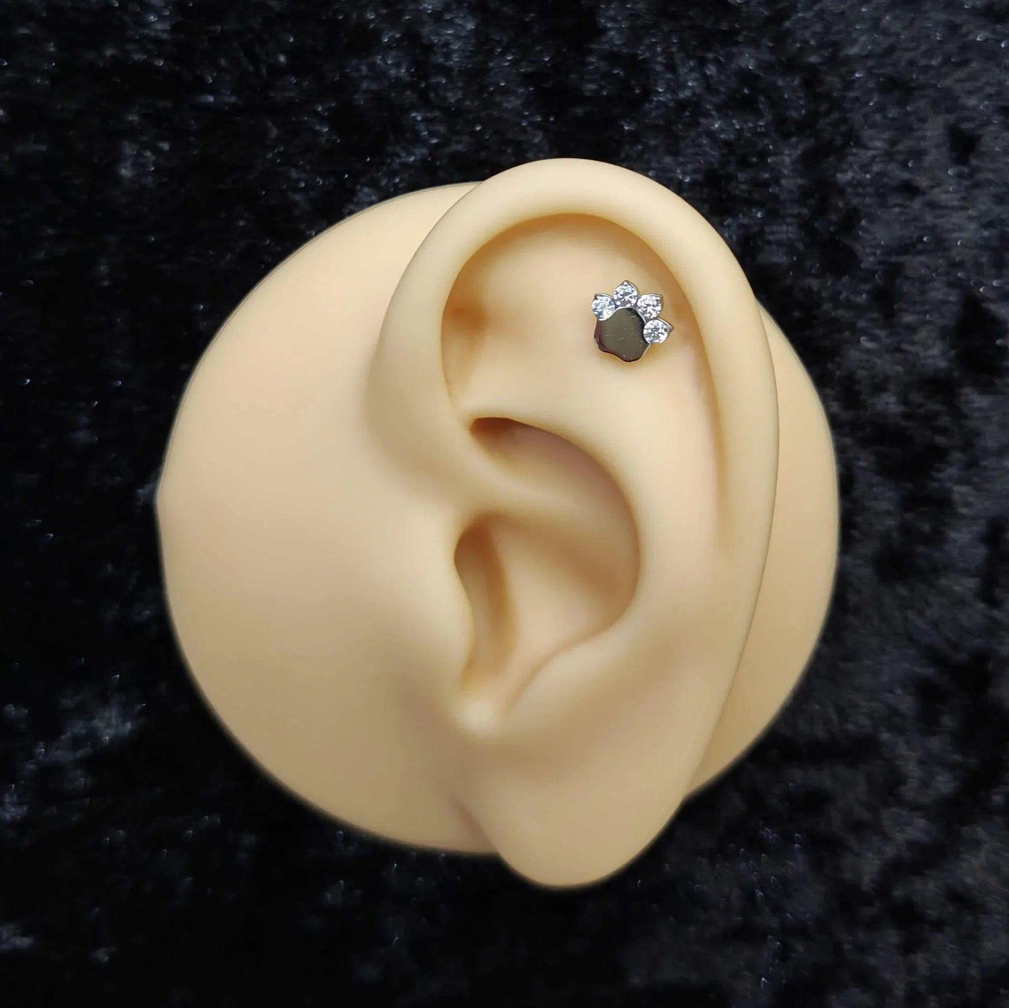 Piercing labret zampetta - GIOYAL PIERCING STORE
