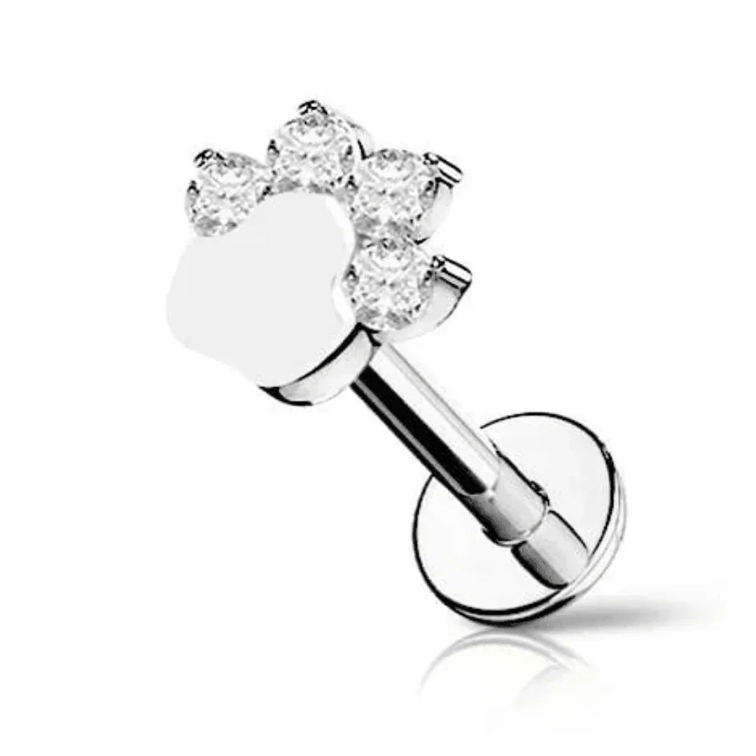 Piercing labret zampetta - GIOYAL PIERCING STORE
