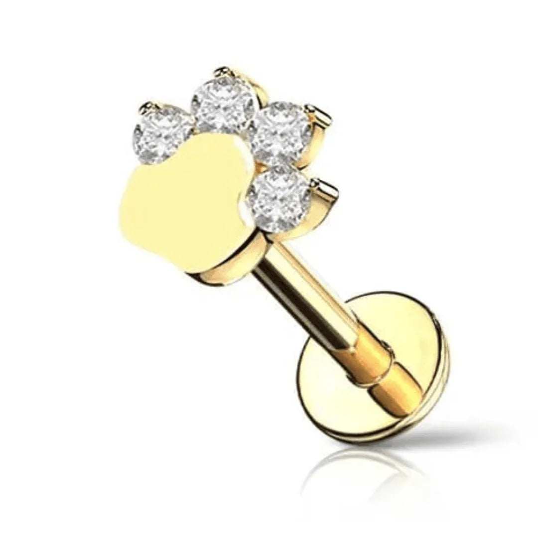 Piercing labret zampetta - GIOYAL PIERCING STORE