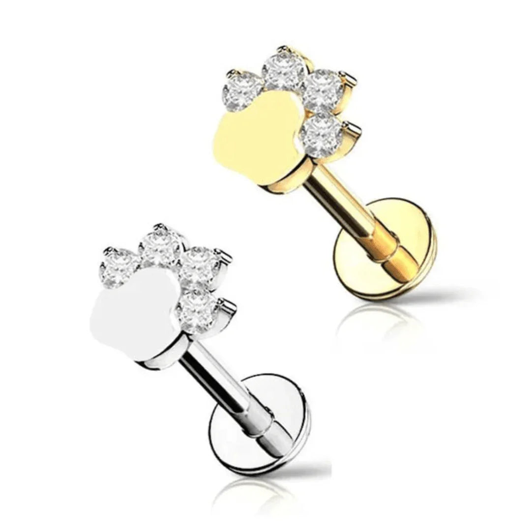 Piercing labret zampetta - GIOYAL PIERCING STORE