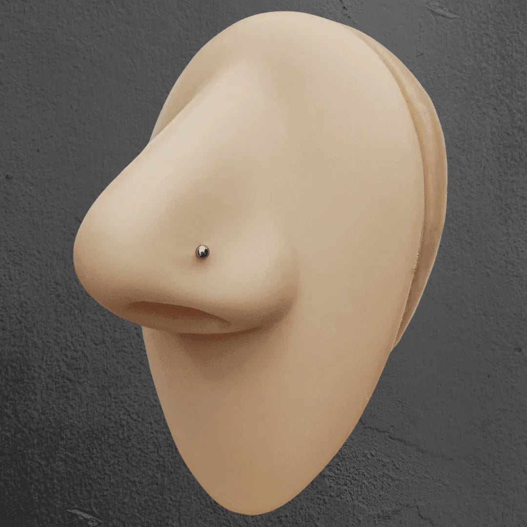 Nostril basic con sfera - GIOYAL PIERCING STORE